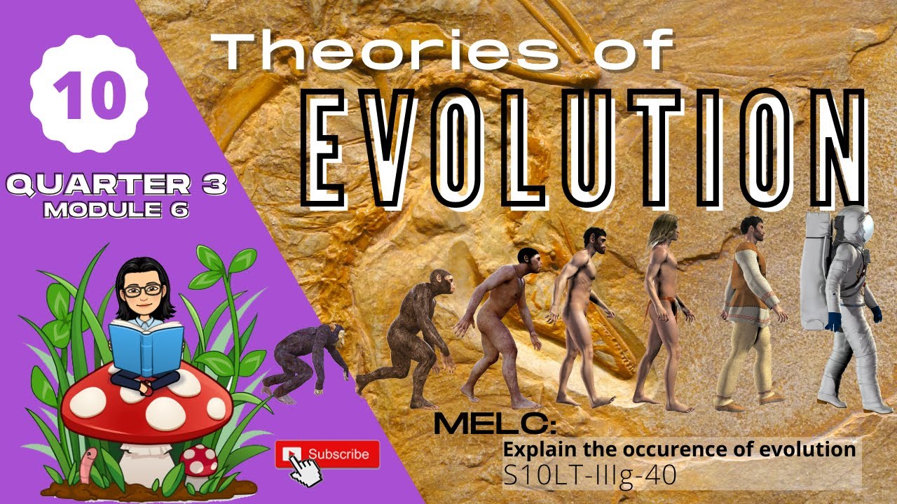 Grade 10 SCIENCE | Quarter 3 Module 6 | Theories Of Evolution - YouTube