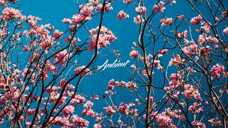 Elskavon - Spring