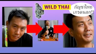 รีวิวกัญ: กัญชา ไทย ระดับ โลก???? Wild Thai Strain Cannabis from THAILAND