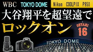 Nikon COOLPIX P950  大谷翔平を超望遠でロックオン WBC TOKYO DOME