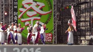 妃龍〔彩夏祭2016　北朝霞ステージ20160806〕