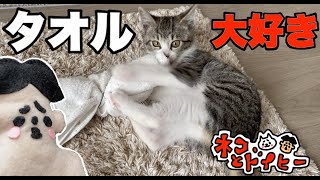 #12 ネコとドイヒーくん「タオル大好きでけりけり」【あるある】