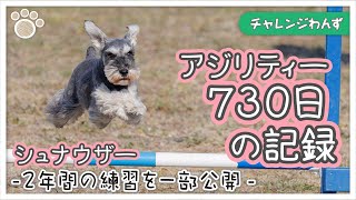 [Dog Sports] The challenge has been a competition between pet dogs and their owners for two years.