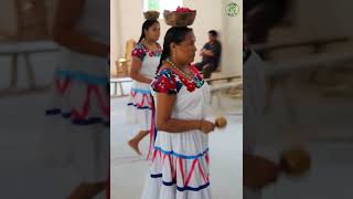 Danza de Inditas Santa Cecilia de Xiquila Huejutla Hidalgo