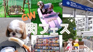 【お台場】お台場の肉フェスに行ってきたよ😆ドックエリアあり犬用フードあり！