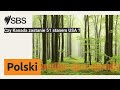 czy kanada zostanie 51 stanem usa sbs polish sbs po polsku