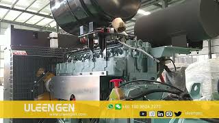 Uleengen 200kw 250kva natural gas generator set | Steyr