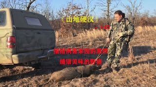 山地硬漢145：捕獵野豬，除掉偷家的黑熊，用木船改造房屋