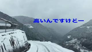 祖谷の雪道