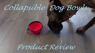 Collapsible Dog Bowls || Product Review