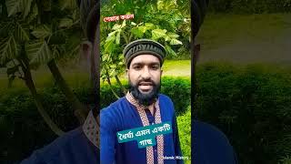 ধৈর্য্য এমন একটি গাছ #shortvideo #short #shortsvideo #trending #youtubeshorts #islamic #islam #short