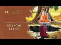 Giữa sống và chết | Tu luyện cố sự