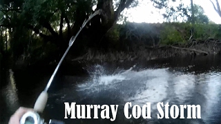 Murray cod storm, Fishing for Murray cod in a violent wind storm