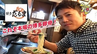 【博多だるま総本店】博多/豚骨ラーメンといえばココ！昭和３８年創業の人気店！