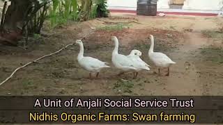 NIDHI ORGANIC FARM - A UNIT OF ANJALI SOCIAL SERVICE TRUST, SRIKALI, TAMILNADU, INDIA