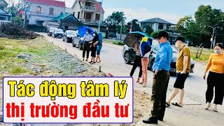 Những tác động đến thị trường đầu tư đất nền của Quy định mới về tách thửa tại Hà Nội