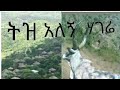 ምርጥ የትዝታ ሙዚቃ እሲ ትዝታ ያለበት ላይክ👍እፍፍፍፍፍ እኮየ ነሽ የበረሀ ሎሚ ያገሬ ልጅ  በይ ደህና ክረሚ