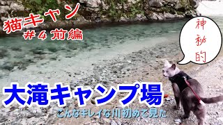 【 キャンプ 】アウトドア大好き家猫が~夏の終わりに西丹沢大滝キャンプ場へ！自然豊かな素晴らしい場所に感動！！終始ご満悦で普段ではお目にかかれない表情連発の最高キャンプにwww【 ネコ 動画 】