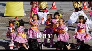 Ray　2024　第9回　横浜よさこい祭り　良い世さ来い　開港の丘メイン会場　10月20日（日）