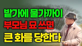 밭가에 물가 가까이 부모님 산소를 잘못 쓰면 집안에 상상도 못한 큰 화를 당한다 [E.413] #풍수 #풍수지리  #산소 #운