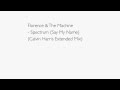 Florence & The Machine - Spectrum (Say My Name) (Calvin Harris Extended Mix)