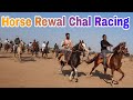 शादी के मौके पर घोड़ों की दोड़_Lakadiya Horse Rewal Chal Racing 2023