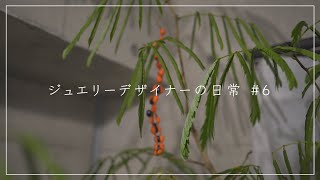 【緑のある暮らし】エバーフレッシュに真っ赤っかな種ができた/vlog#6