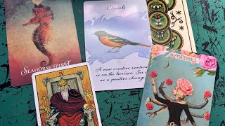 Libra Daily- Your Focus 🧘‍♀️ Is On Your Passion and Effort, warrior spirit 🪽