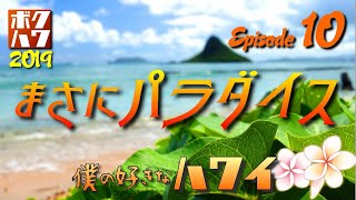 僕の好きなハワイ 2019 エピソード10「ローカルな公園を巡る」【HAWAII】【ボクハワ】