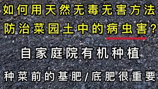 如何防治土里的病蟲害？用天然的方法替代農藥殺蟲劑。種菜前用什麼做基肥/底肥好？基肥/底肥和土壤的比例。懶人種菜營養土壤方法介紹。