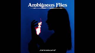 Tuvaband - Ambiguous Flies