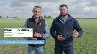 #FollowTheCrop Žieminių rapsų apžvalga. I dalis