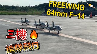 FREEWING 飛翼 64mm F-14 雄貓 三機編隊飛行