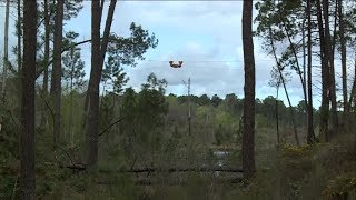 Forêt girondine : débardage par câble pour protéger les milieux sensibles et les espèces rares