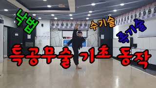 특공무술 기초 동작(낙법, 수기술, 족기술)