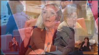 Le RN contre le RIC Constituant. Le Pen mentait. #GiletsJaunes #GJ