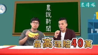 香蕉收入保險正式開賣！為什麼香蕉需要保險呢？｜農說新聞　20191009｜農傳媒