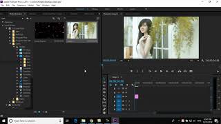 Guide to create flower effect on photos by Adobe Premiere Pro CC 2015