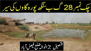 Chak 28 GB Singh Pura Tour Satiana || Jaranwala, Faisalabad || Pakistan Village Life