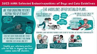 Summary of 2023 AAHA Selected Endocrinopathies Guidelines