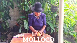 Rico Molloco