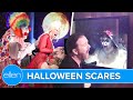 Halloween Scares on 'Ellen'