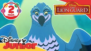 The Lion Guard | A Real Meal Song! | Disney Junior UK