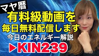 【マヤ暦】1月12日　今日のエネルギー解説　KIN239 青い鷲・青い嵐・波動数５