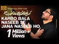 Karbobala Naseeb Se Jana Naseeb Ho | Mir Hasan Mir Nohay 2020 | New Noha 2020 | Arzoo e Karbala