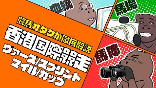 【2022香港国際競走】4つのGⅠを一挙解説＆注目馬紹介！！