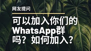 网友提问，我看到你的YouTube影片说你们有一个whatsapp群，请问我可以加入吗?