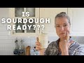 How To Know When Your Sourdough Starter is Ready For Baking?
