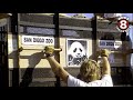 Giant Pandas arrive at San Diego Zoo in 1996