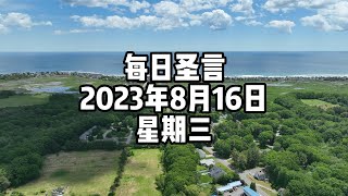 【每日圣言】2023年8月16日 星期三